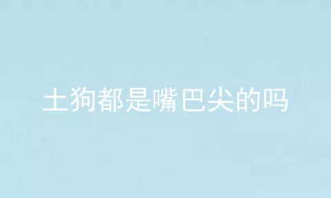 土狗都是嘴巴尖的吗