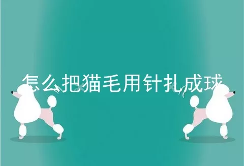 怎么把猫毛用针扎成球