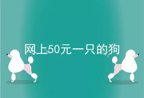 网上50元一只的狗