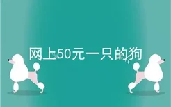 网上50元一只的狗