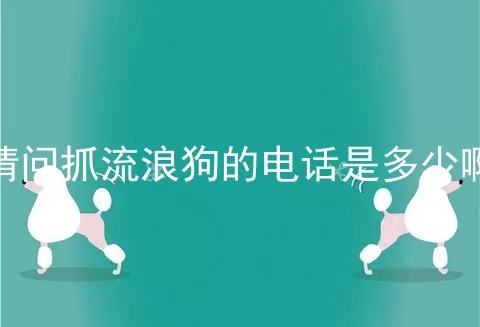 请问抓流浪狗的电话是多少啊