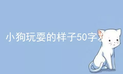 小狗玩耍的样子50字左右