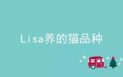 Lisa养的猫品种