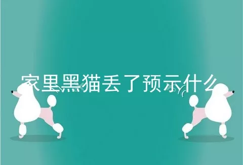 家里黑猫丢了预示什么