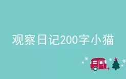 观察日记200字小猫