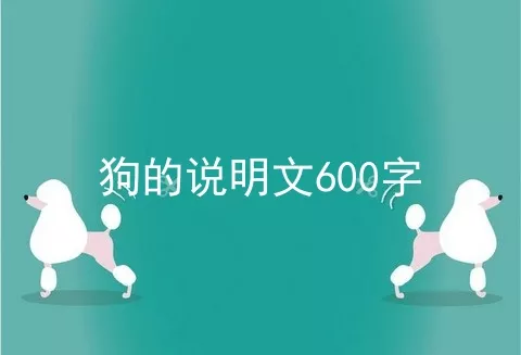 狗的说明文600字