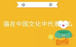 猫在中国文化中代表什么