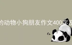 我的动物小狗朋友作文400字左右