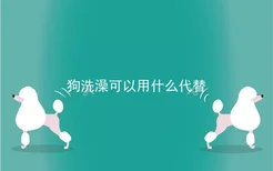 狗洗澡可以用什么代替