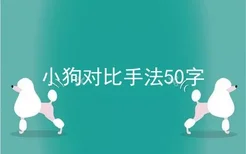 小狗对比手法50字