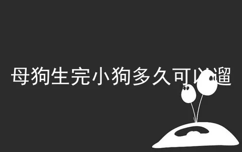 母狗生完小狗多久可以遛