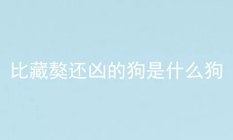 比藏獒还凶的狗是什么狗