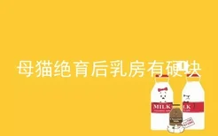 母猫绝育后乳房有硬块