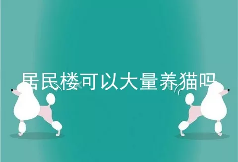 居民楼可以大量养猫吗