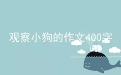 观察小狗的作文400字