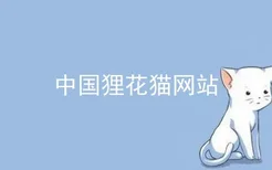 中国狸花猫网站