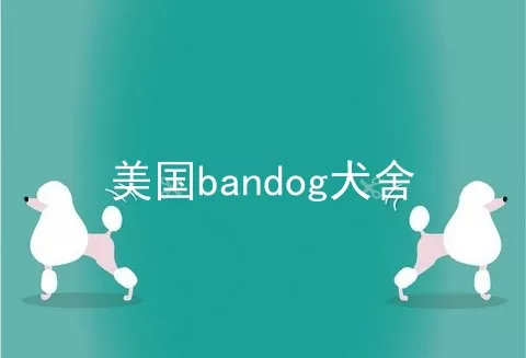 美国bandog犬舍