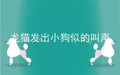 龙猫发出小狗似的叫声