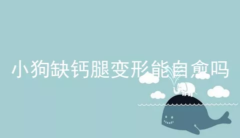 小狗缺钙腿变形能自愈吗