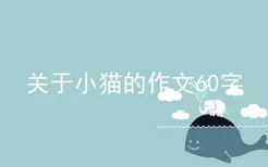 关于小猫的作文60字