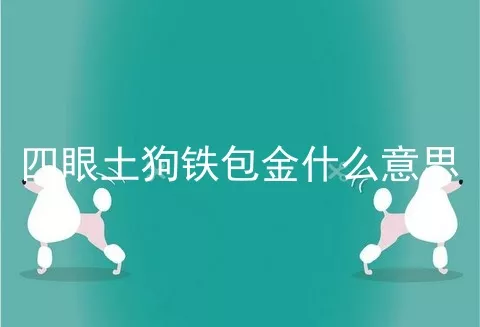 四眼土狗铁包金什么意思