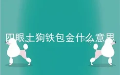 四眼土狗铁包金什么意思