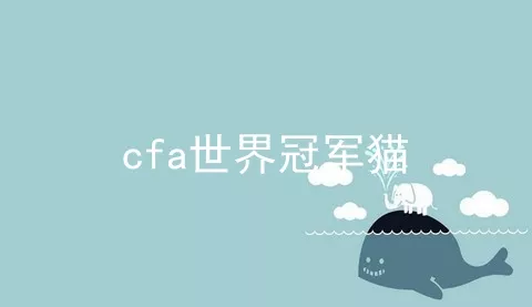 cfa世界冠军猫