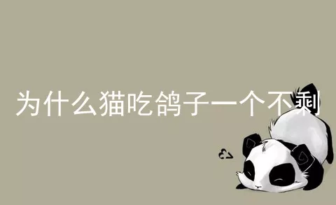 为什么猫吃鸽子一个不剩