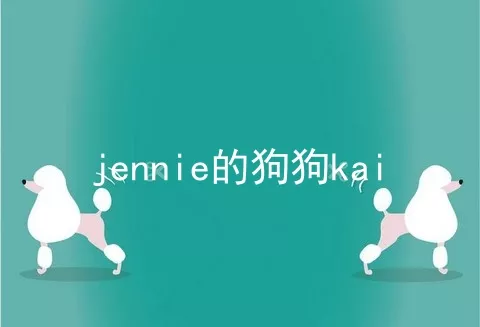 jennie的狗狗kai