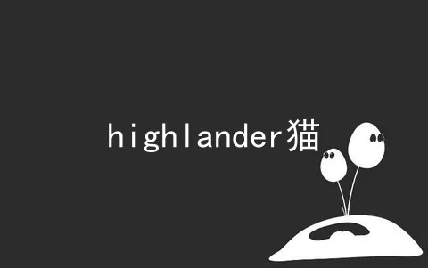 highlander猫