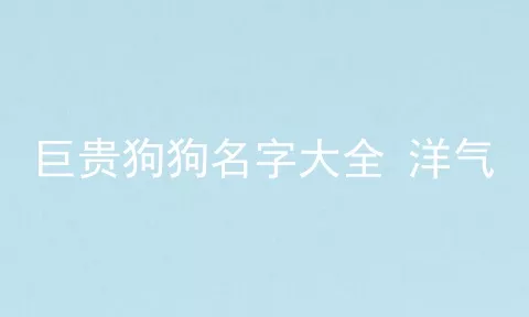 巨贵狗狗名字大全 洋气