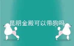 昆明金殿可以带狗吗