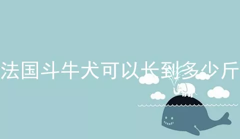 法国斗牛犬可以长到多少斤