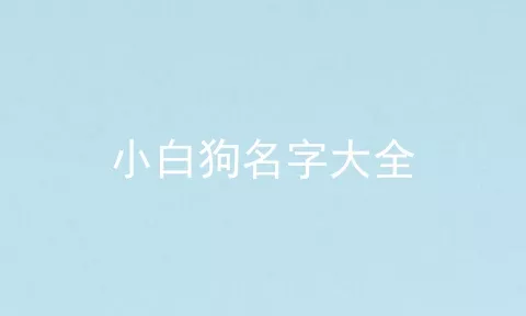 小白狗名字大全