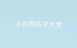 小白狗名字大全