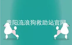 贵阳流浪狗救助站官网