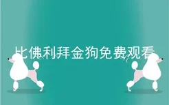 比佛利拜金狗免费观看