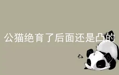 公猫绝育了后面还是凸的