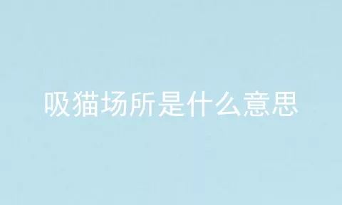 吸猫场所是什么意思