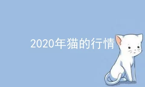 2020年猫的行情