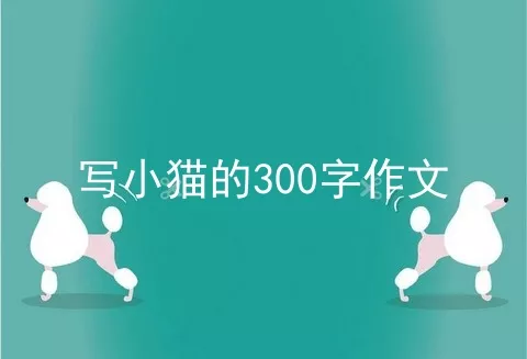 写小猫的300字作文