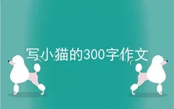 写小猫的300字作文