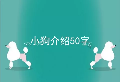 小狗介绍50字