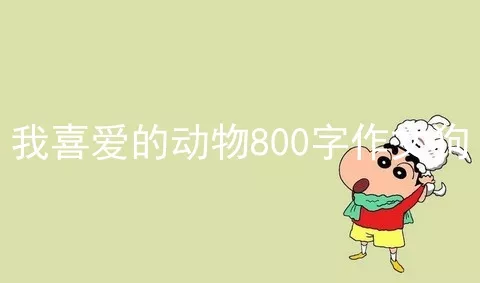 我喜爱的动物800字作文狗