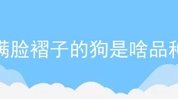 满脸褶子的狗是啥品种