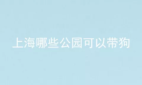 上海哪些公园可以带狗