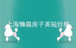 上海懒猫房子英短价格