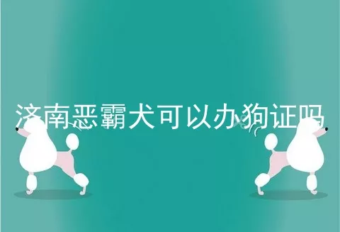 济南恶霸犬可以办狗证吗