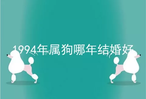 1994年属狗哪年结婚好