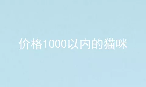 价格1000以内的猫咪